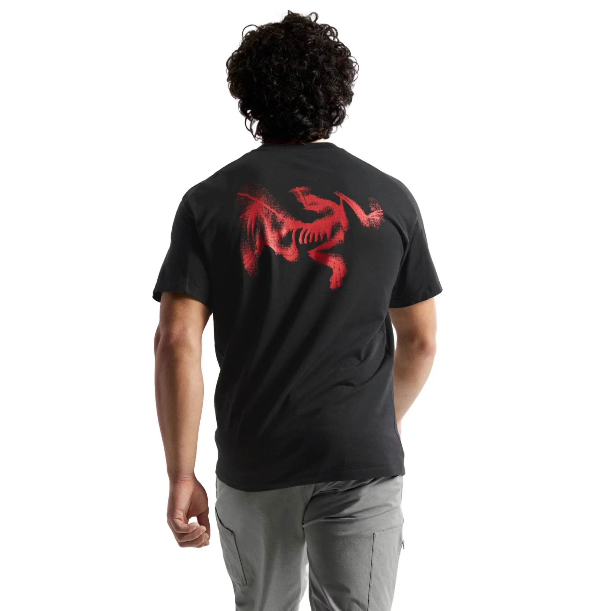 Arc'teryx Kragg SL Cotton Blurred Bird Mens SS Shirt 2026 - Image 4