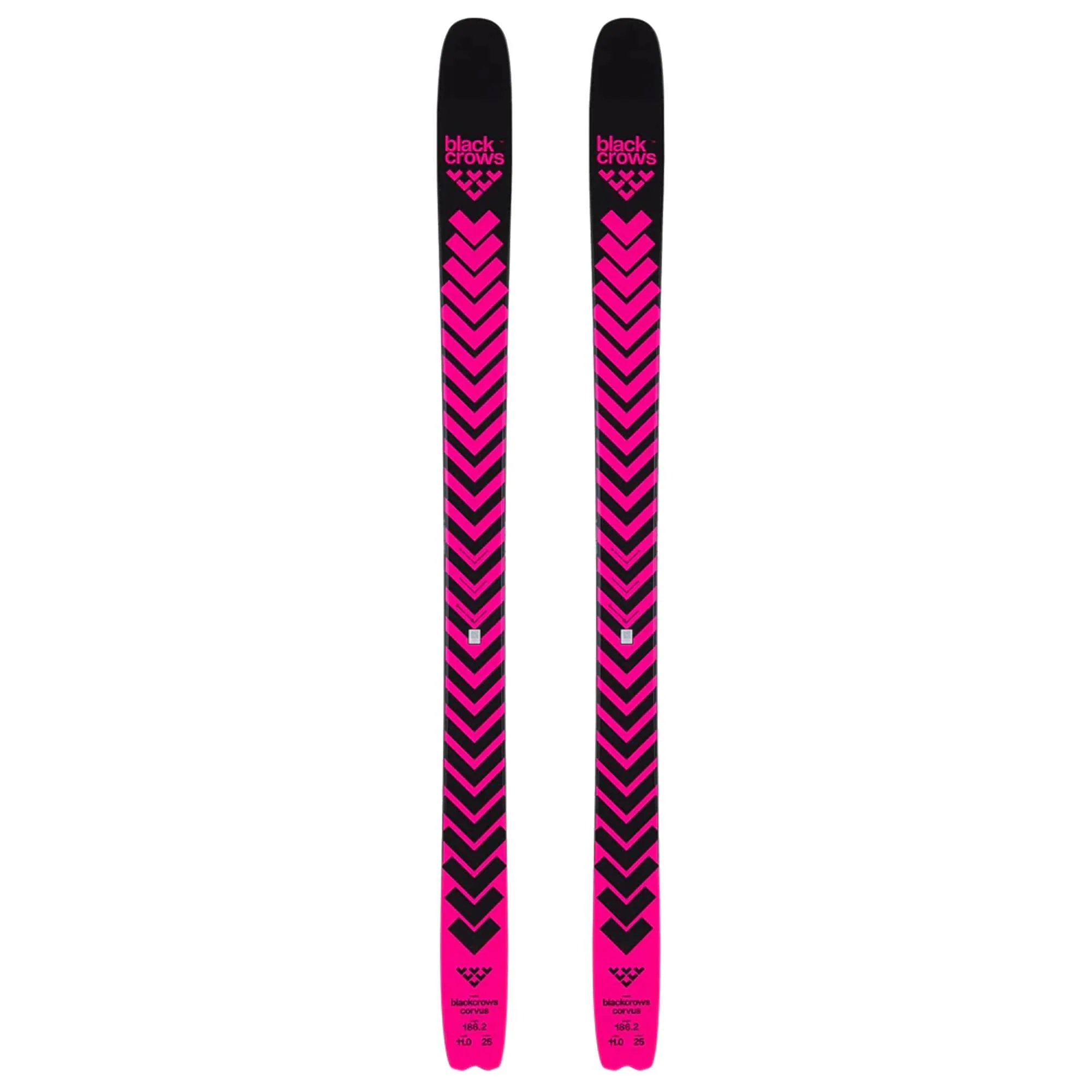 Black Crows Corvus Ski 2026
