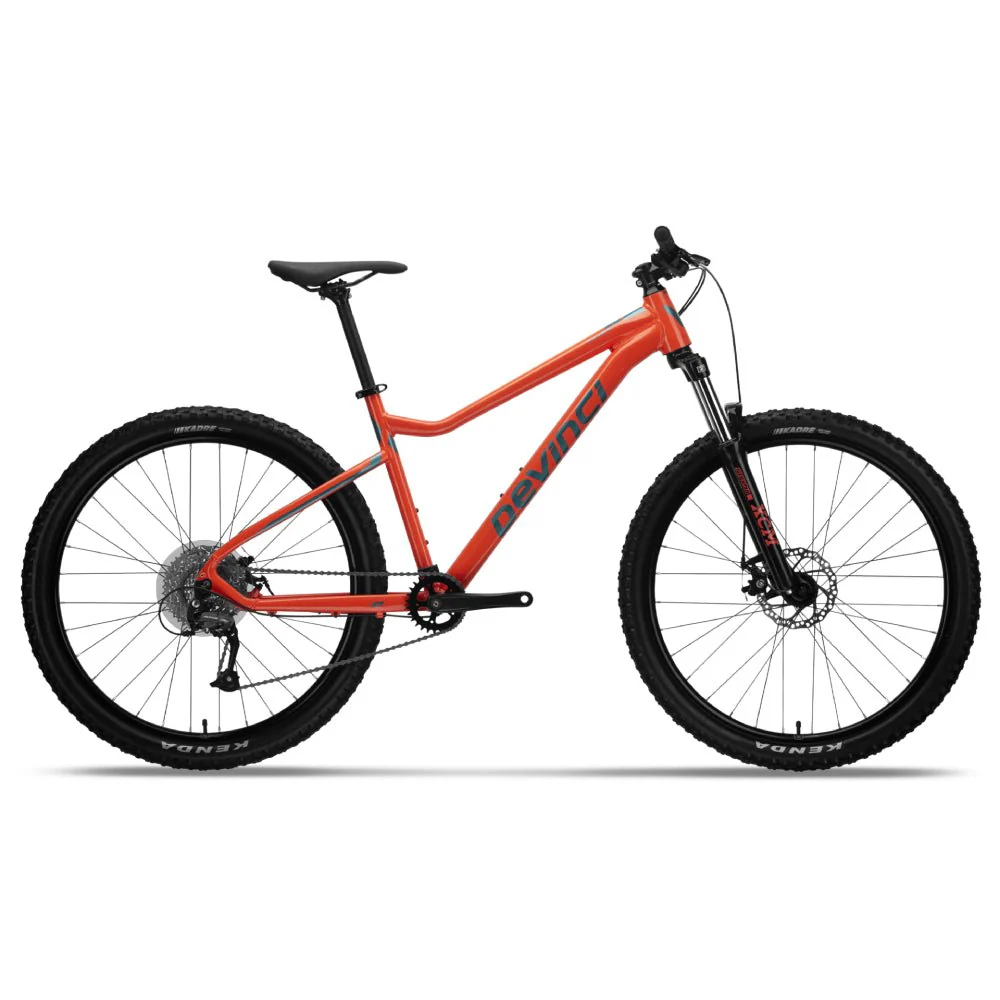 Devinci Blackbird Acera 8s Bike - Image 2