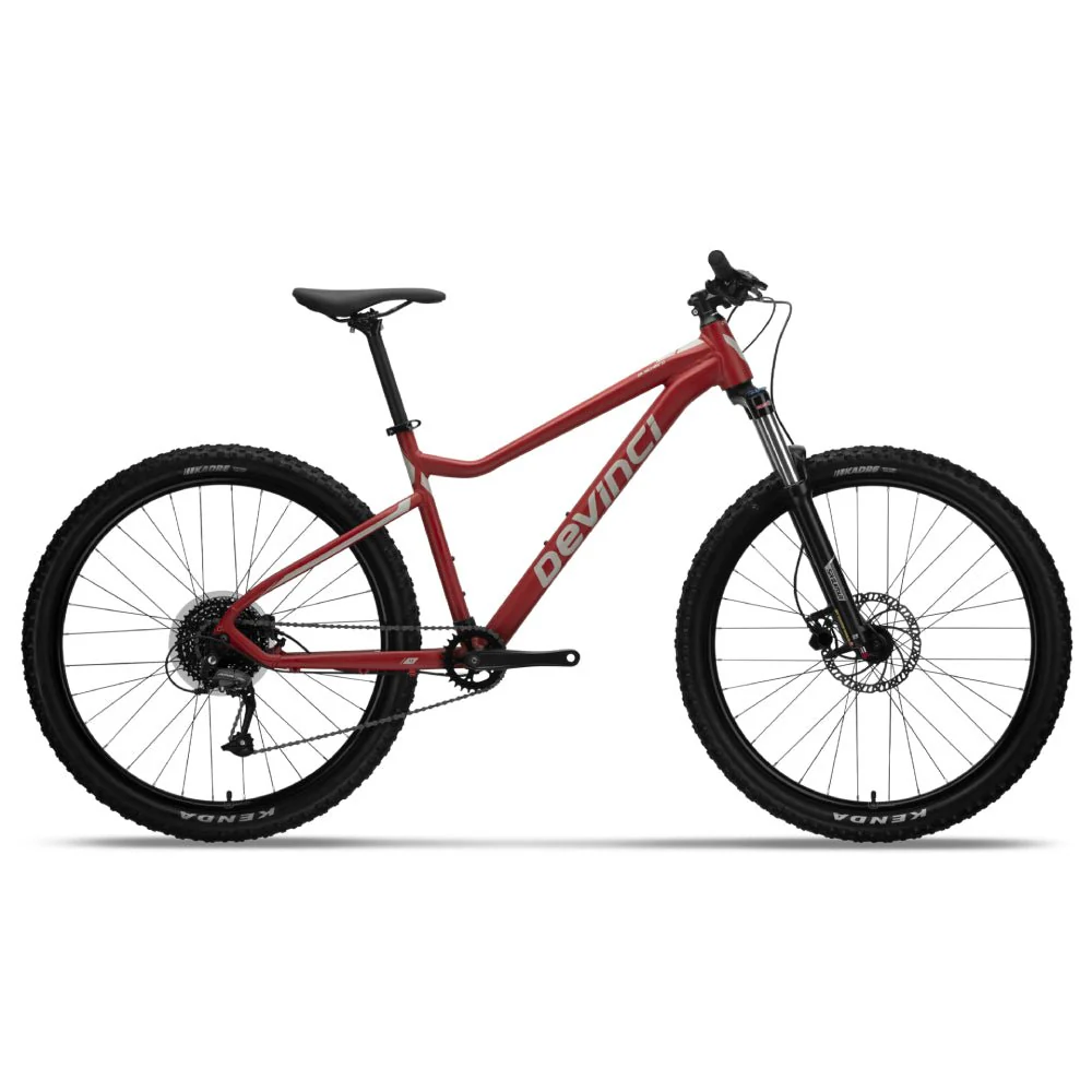 Devinci Blackbird  Altus 9s Bike