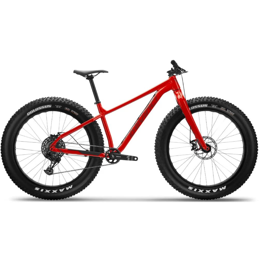 Devinci Minus SX 12s Bike