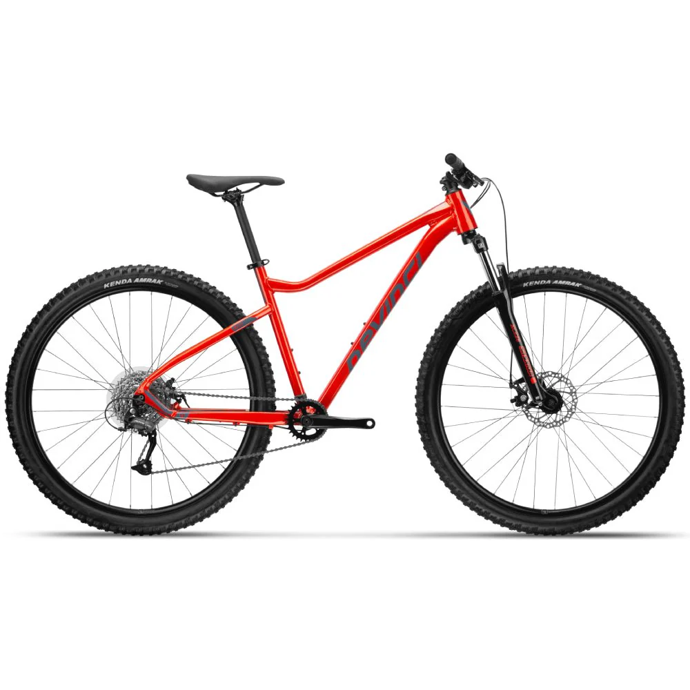 Devinci Riff Altus 8s Bike