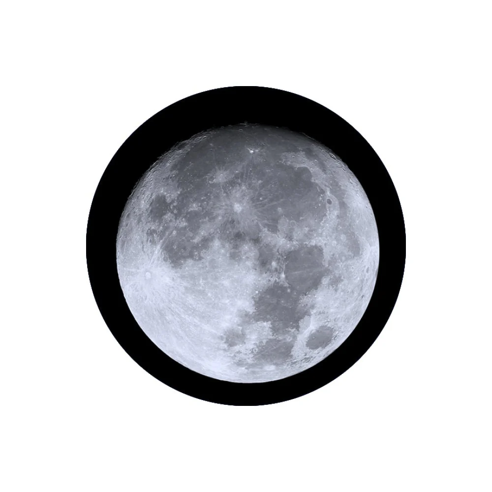 Noso Patch Kit - Image 2