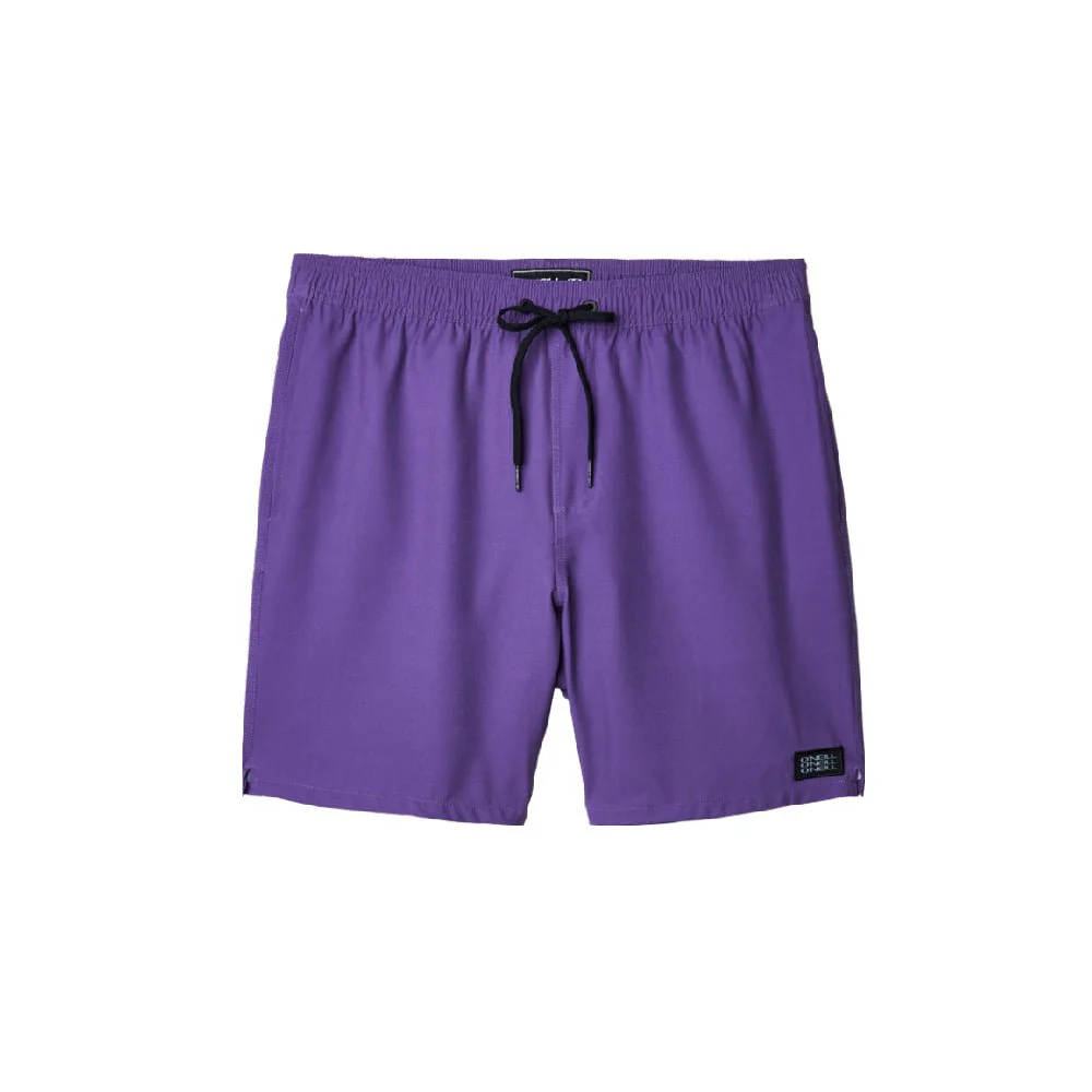 O'Neill Solid Canada Mens Volley Short 2023 - Image 25