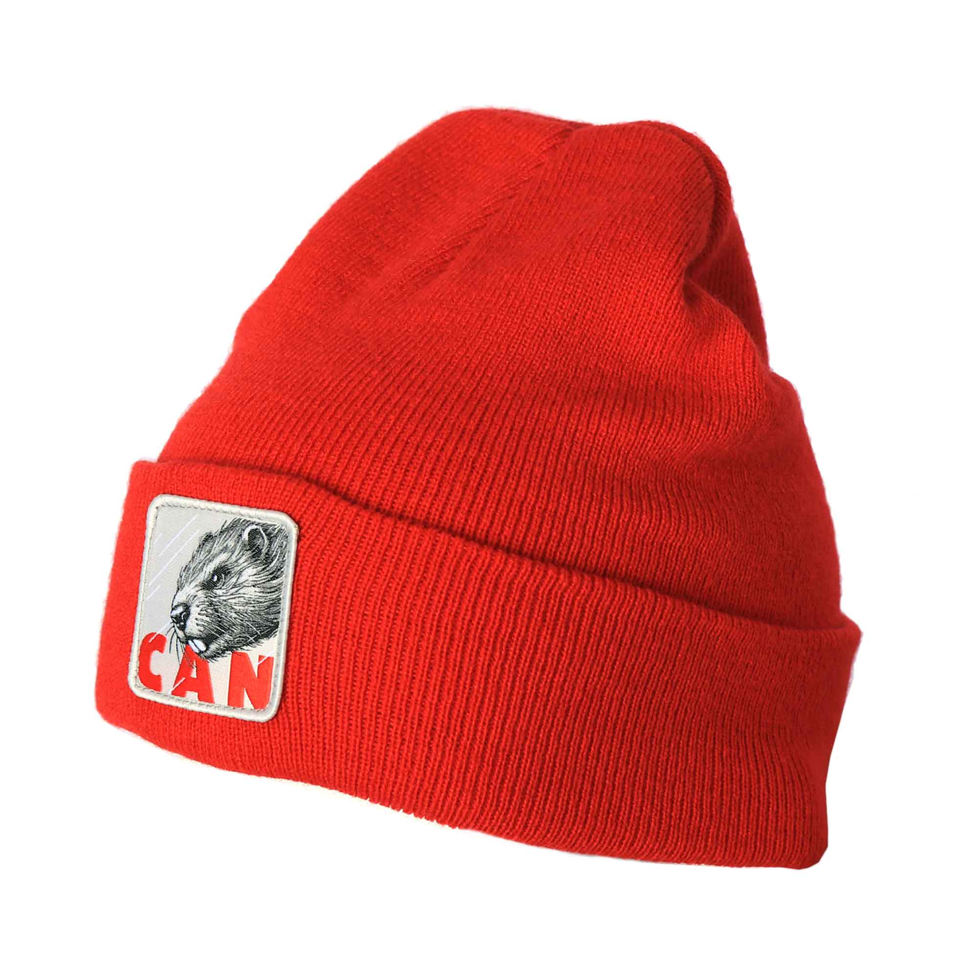 Skiis & Biikes Canadian Beaver Toque 2026 - Image 5