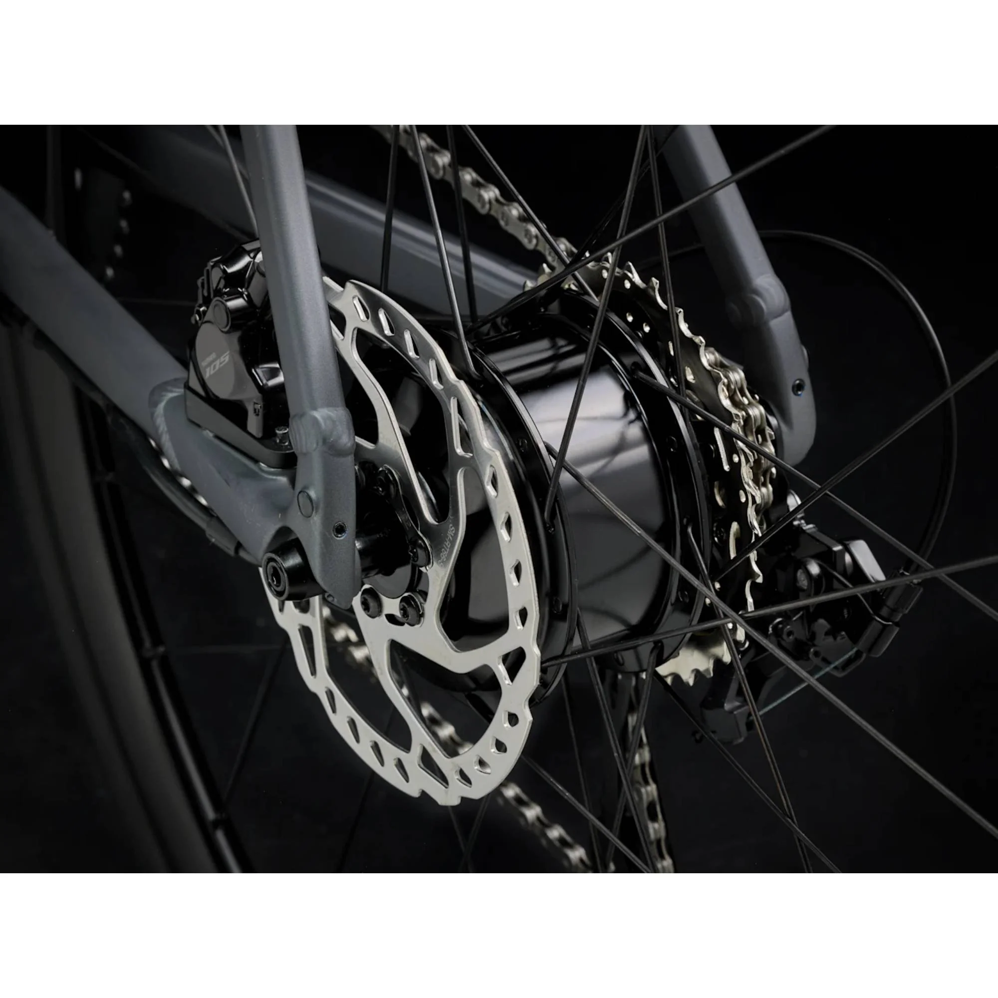 Trek Domane + AL 5 Bike - Image 3