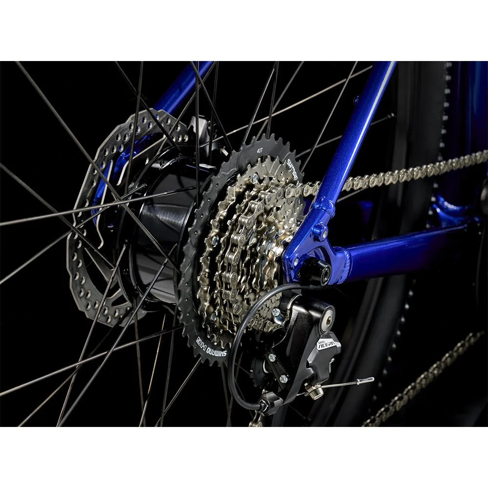 Trek Dual Sport + 2 LT E Bike - Image 3